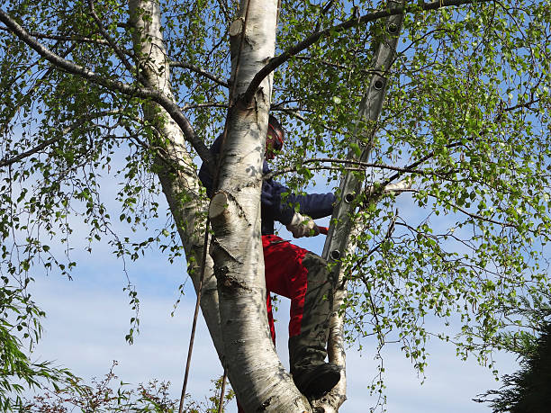 Mulching Services in Coopersburg, PA